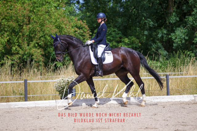 DKP46652 | Turniersportfotografie; Pferdefotografie; Dressurfotografie