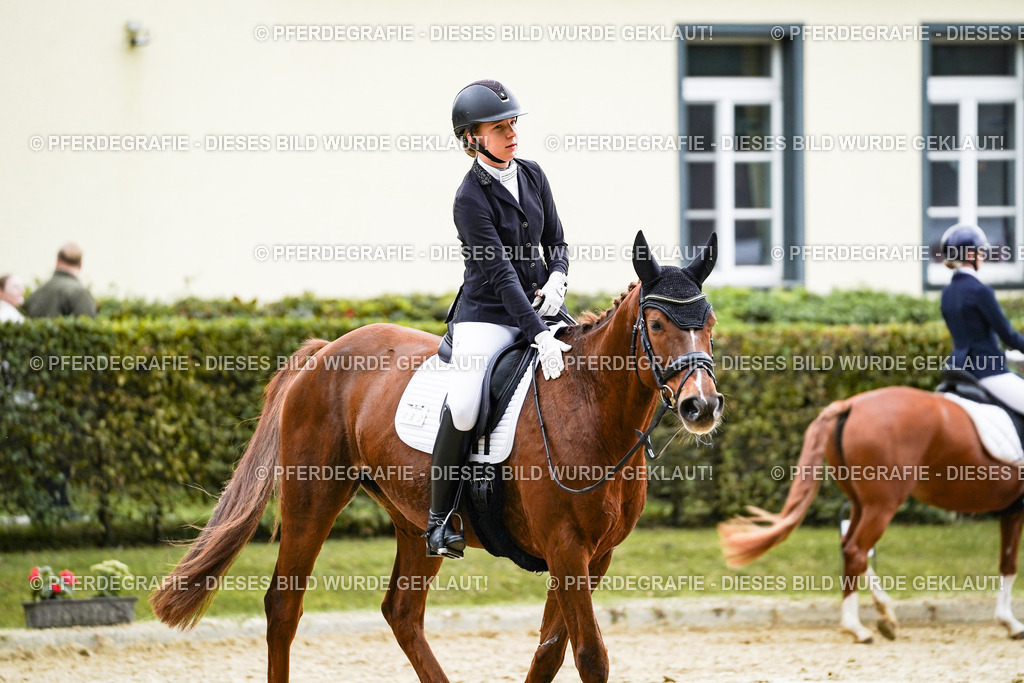 DSC07447 | Pferdegrafie