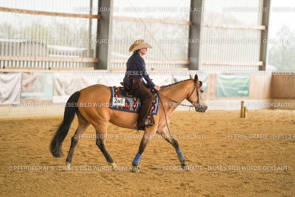 DSC09609 | Pferdegrafie