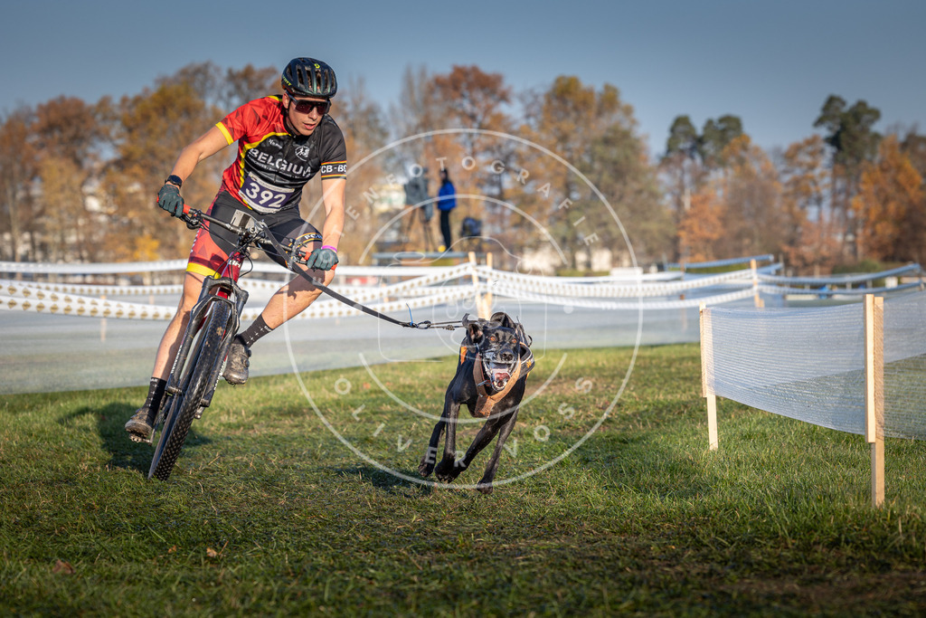 CaniXpix_0L8A3873 | Hundefotografie, Tierfotograf, Pfotenfotografie, Fotoshooting Hund, Hunde Portrait, Hundesport, Hundeportraits, Heideshooting, Hunde, Sportfotograf, Hundefotograf, Turnierhundsport, THS,  - Realisiert mit Pictrs.com