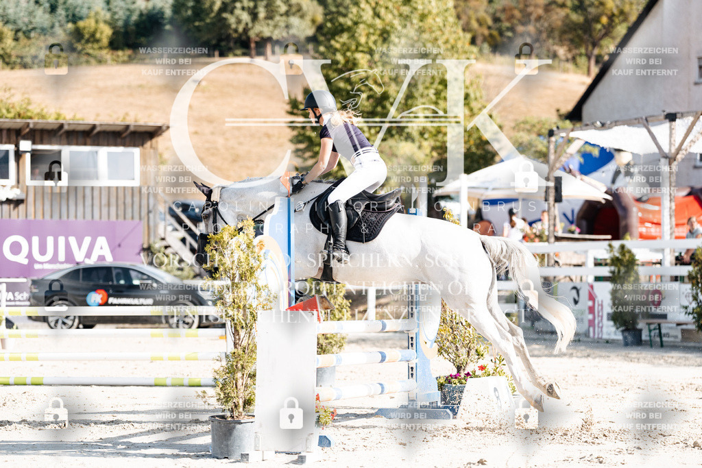 CK909323 | Turnierfotografie Pferdefotografie Trier Rheinland-Pfalz Pferdesport Reitsport Tierfotografie Sportfotografie Pferdevideo Pferdevideografie Equestrianvideography equestrianphotography  - Realisiert mit Pictrs.com
