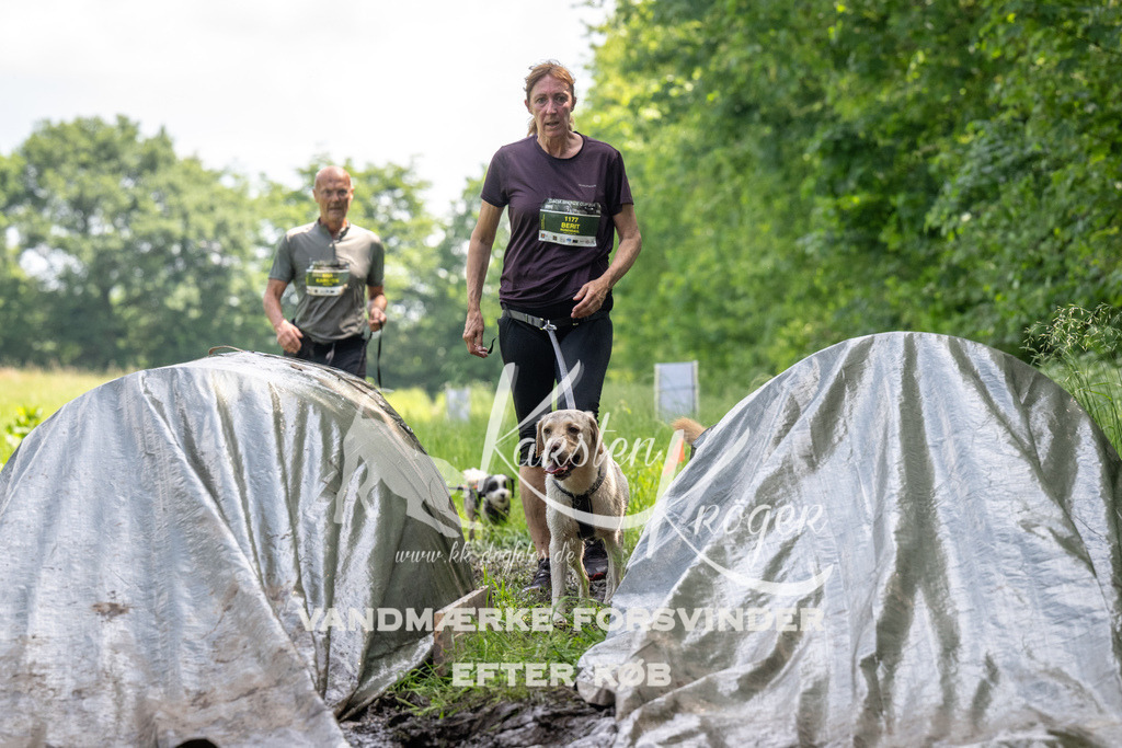 1211_ZZ91651 | kk-dogfotos