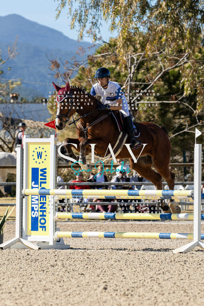 IMG_1201 | s-jay-photography - Realisiert mit Pictrs.com