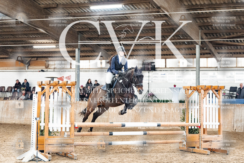 CK904254 | Turnierfotografie Pferdefotografie Trier Rheinland-Pfalz Pferdesport Reitsport Tierfotografie Sportfotografie Pferdevideo Pferdevideografie Equestrianvideography equestrianphotography  - Realized with Pictrs.com