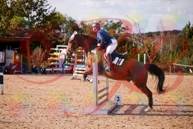 2026_10_03_Siefer-Hof_160627_Z81_87992865 | Professionelle Reitsport-, Turnier- und Eventfotografie von Robert Broda. Galerien mit ausgewählten und bearbeiteten Bildern direkt online ansehen und bestellen.