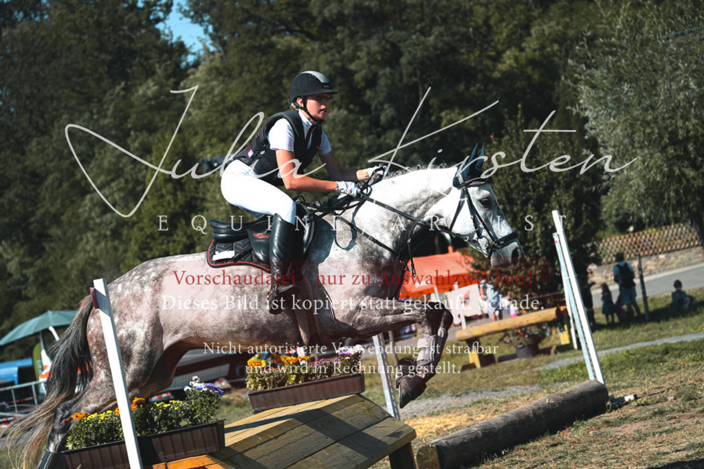DSC_7833 | Pferde- und Turnierfotografie in Westsachsen. Pferdeportraits, Auftragszeichnungen und intuitive Kunst.
