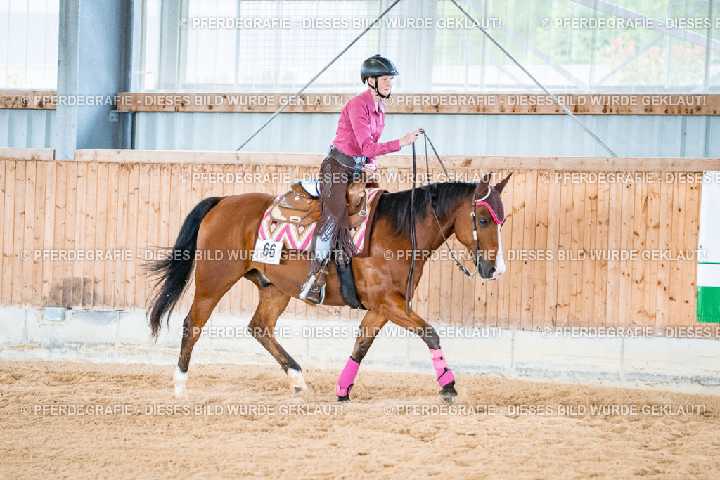 DSC09615 | Pferdegrafie