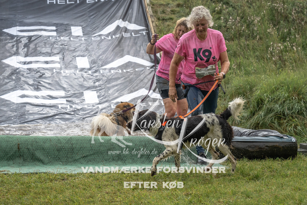 1450_ZZ91539 | kk-dogfotos