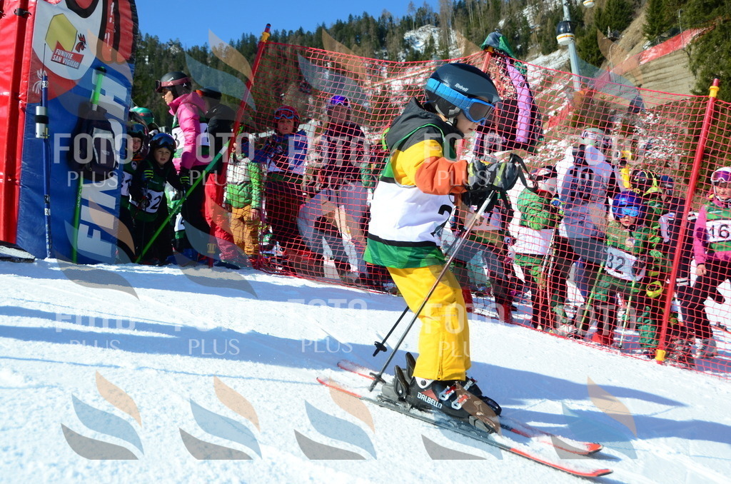 C4815 | holidayphoto