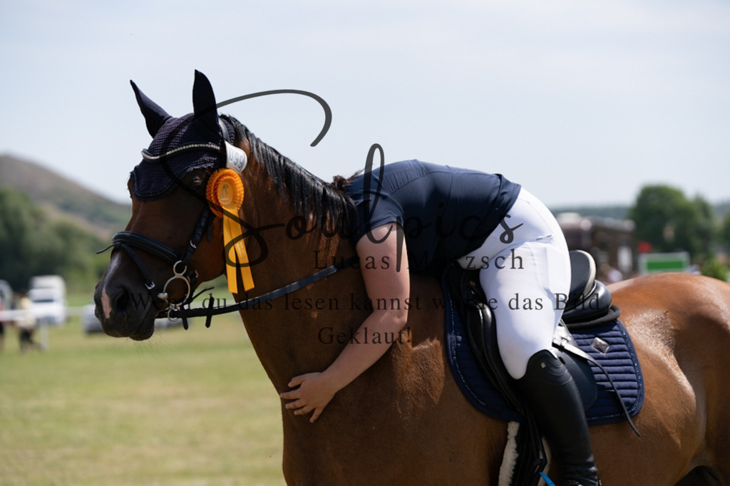 A7V01876 | Pferdefotograf