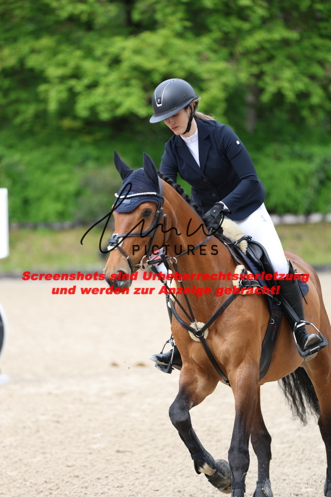 A40A1139 | lmwpictures - Realisiert mit Pictrs.com