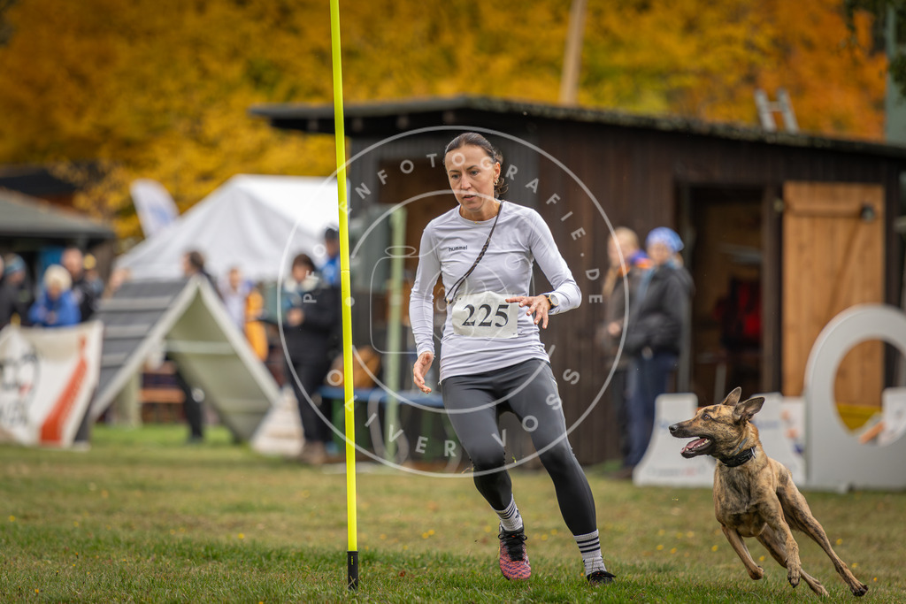 Pfotenfotografie_DV3A3169 | Hundefotografie, Tierfotograf, Pfotenfotografie, Fotoshooting Hund, Hunde Portrait, Hundesport, Hundeportraits, Heideshooting, Hunde, Sportfotograf, Hundefotograf, Turnierhundsport, THS,  - Realisiert mit Pictrs.com