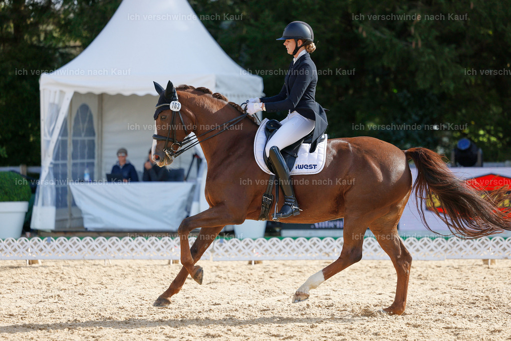 09_2-163-DRESSUR  S_  -StoibPH-5742 | working equitationturnier fotograf videograf stoibphotography marixx film working equitation deutschland reitsport turnierfotografie eventfotografie equestrian events
