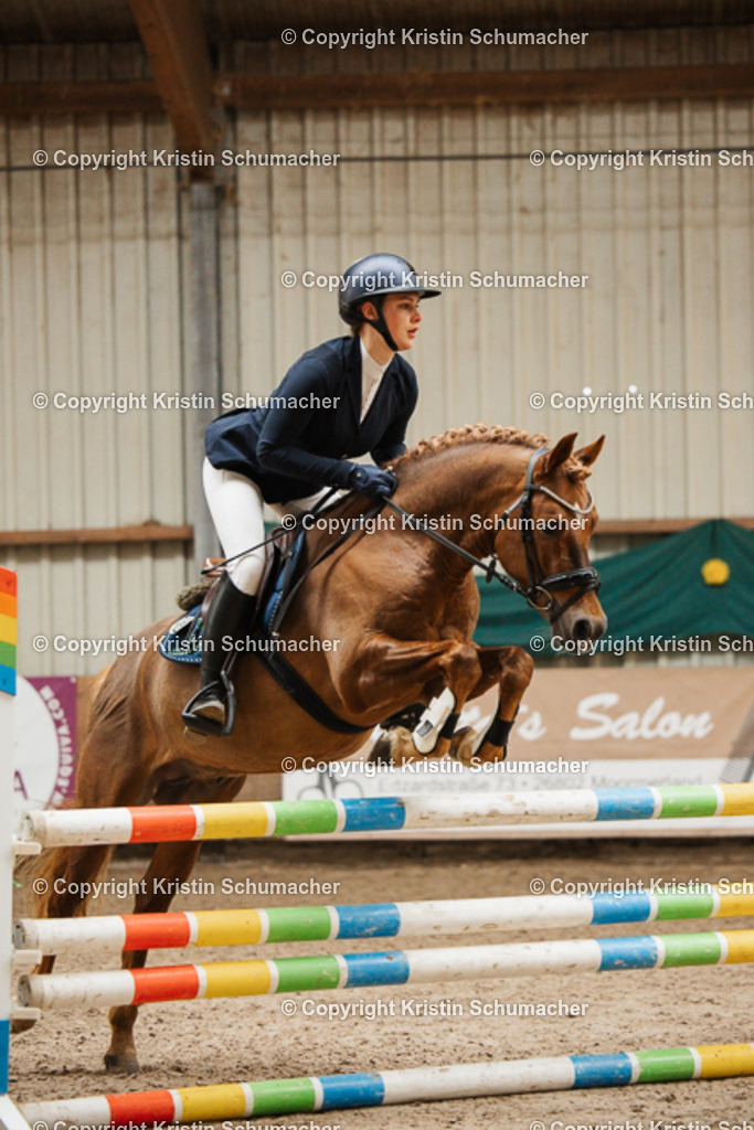 Springpferde A_-39 | Kristin Schumacher Photography