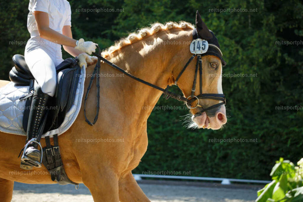 JHE_8090 | JoYa Fotografie - Realisiert mit Pictrs.com