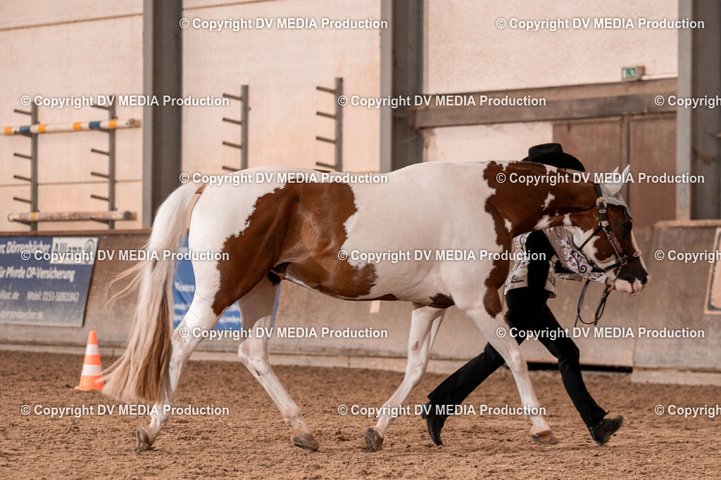 LM Heiligenwald Tag 1-302 | dv-media-shop - Realisiert mit Pictrs.com