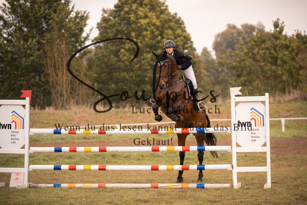 A7V07470 | Pferdefotograf