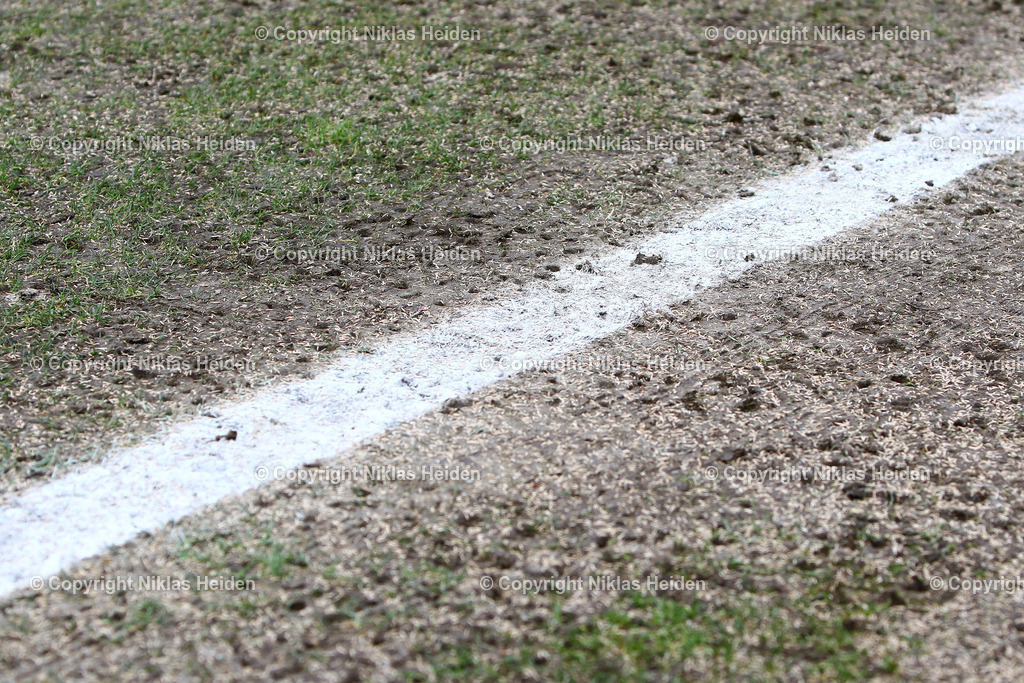 NH_HolsteinKielU23_SVDrochtersenAssel_RegionalligaNord_02032024 | Frisch ausgesähter Rasen im Citti-Fußball-Park.

Regionalliga Nord I 24. Spieltag I 02.03.2024