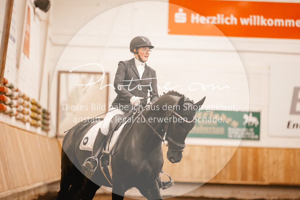 3I6A4639 | Stimmungsvolle Portraits und Reitsportfotografie im Ruhrgebiet und im Münsterland.

Pferdefotografie, Hundefotografie, Tierfotografie, Reportagen, Portraits von Tier und Mensch, Turnierfotografie in Bochum, Recklinghausen, Marl, Haltern am See, Dülmen.. - Realisiert mit Pictrs.com