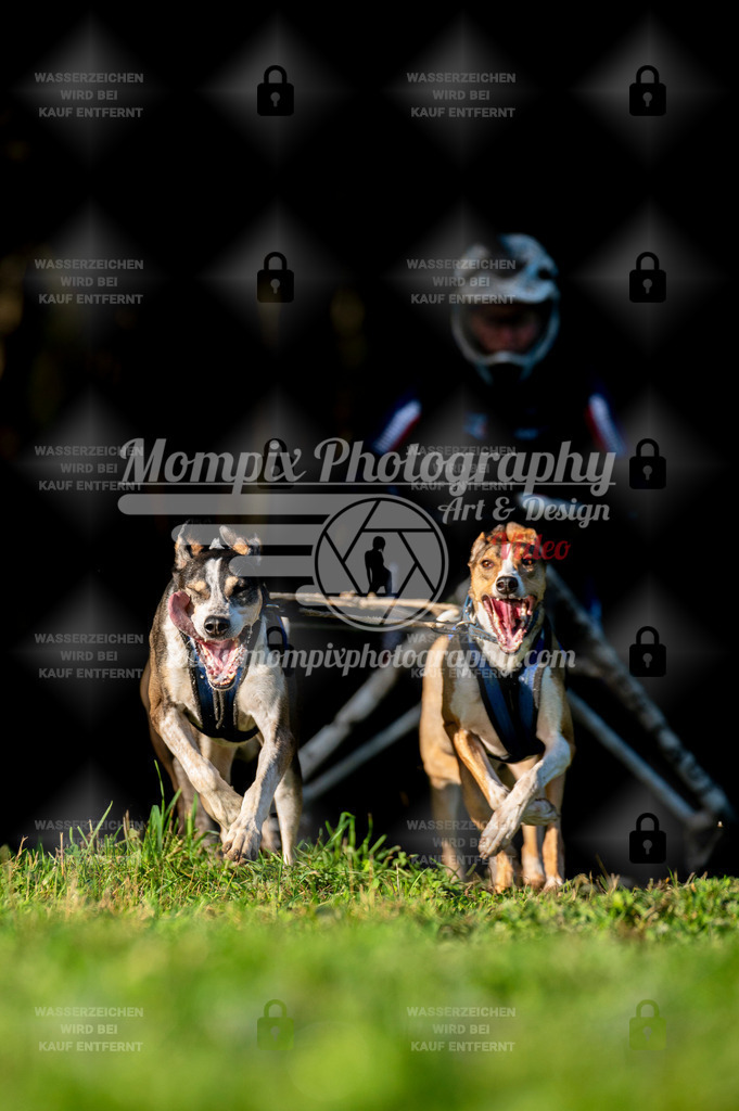 TSB_2023_E7_Kart-2 | PayLife