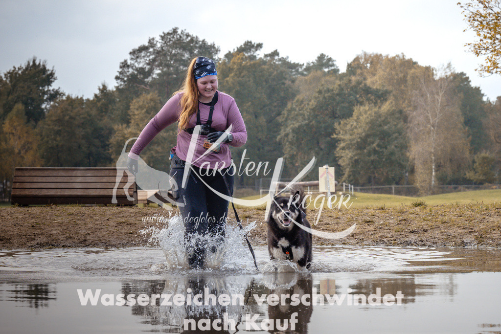 1338_ZZ94388 | kk-dogfotos