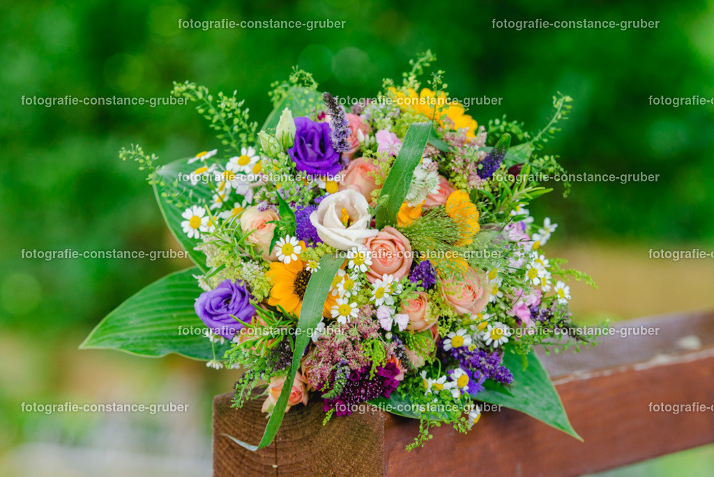 1015 | Fotografie Constance Gruber - Realisiert mit Pictrs.com