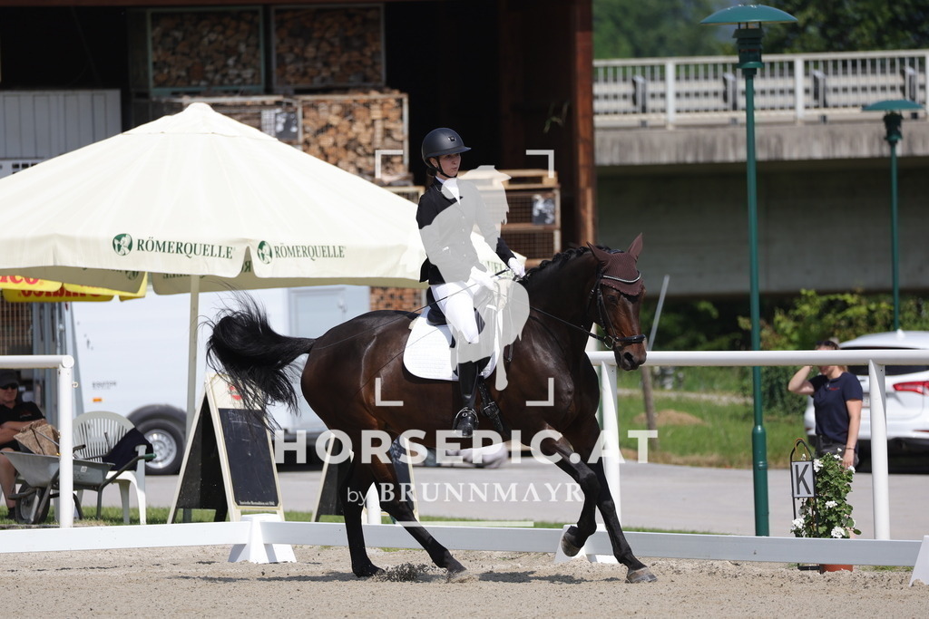 0P6A4720 | Willkommen bei Brunnmayr - Design & Fotografie – Ihrem Spezialisten für Reitturniere und Pferdeveranstaltungen in Oberösterreich, Salzburg und Bayern! Seit über 17 Jahren sind wir leidenschaftlich dabei.