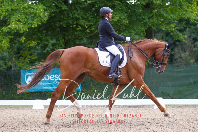 DKP40844 | Turniersportfotografie; Pferdefotografie; Dressurfotografie