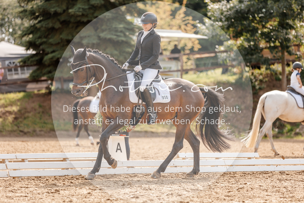 3I6A4230 | Stimmungsvolle Portraits und Reitsportfotografie im Ruhrgebiet und im Münsterland.

Pferdefotografie, Hundefotografie, Tierfotografie, Reportagen, Portraits von Tier und Mensch, Turnierfotografie in Bochum, Recklinghausen, Marl, Haltern am See, Dülmen.. - Realisiert mit Pictrs.com