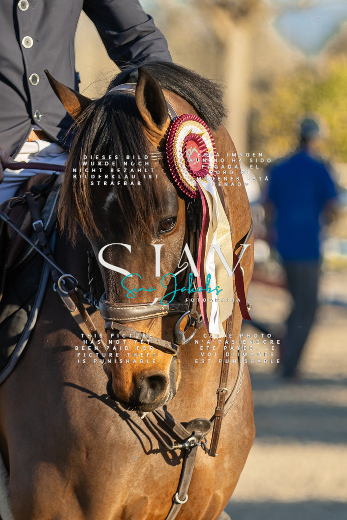 IMG_2758 | s-jay-photography - Realisiert mit Pictrs.com