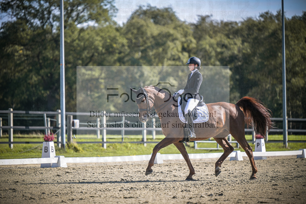 DOS_2937 | Entdecke hochwertige Reitturnierfotos von Foto Oger. Professionell, emotional und authentisch – jetzt Lieblingsmomente im Shop bestellen.Deutschlandweite Turnierfotografie. - Realisiert mit Pictrs.com