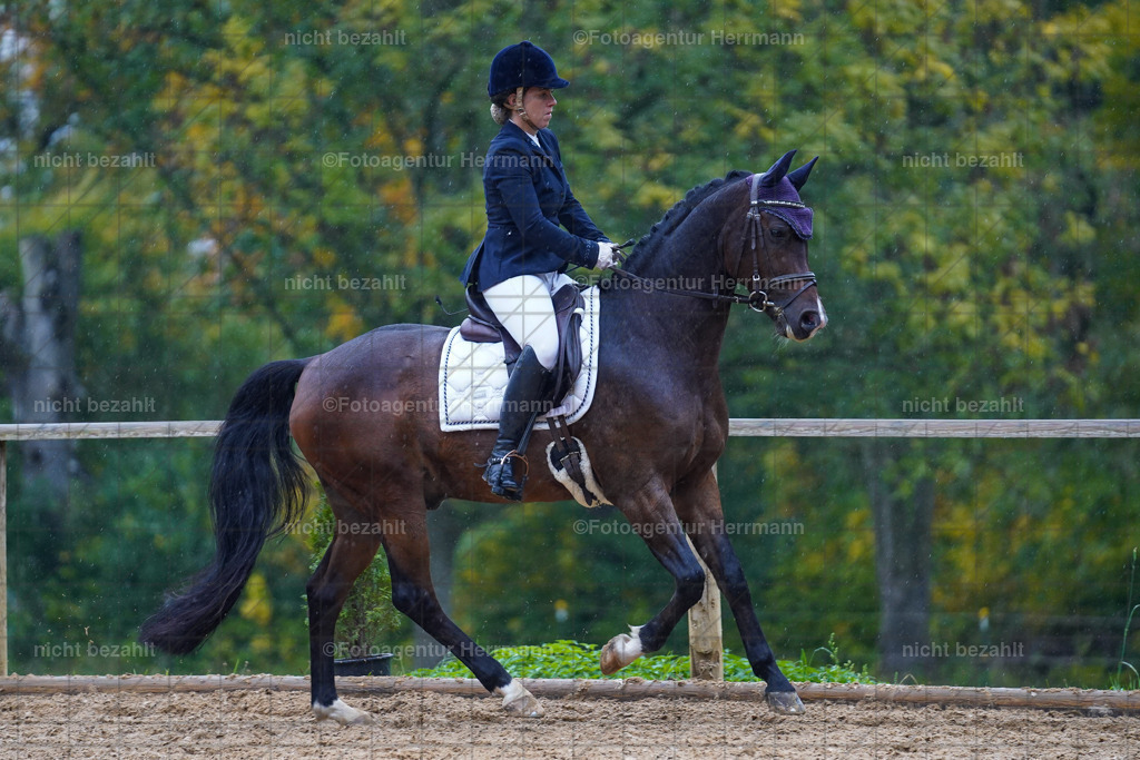 20221008-FAH02042 | Diessen am Ammersee, 2022, Dressur- und Springturnier, Reitsportbilder, Turnierfotografen Bayern, Pferdefotografen, Fotoagentur Herrmann, Turnierbilder