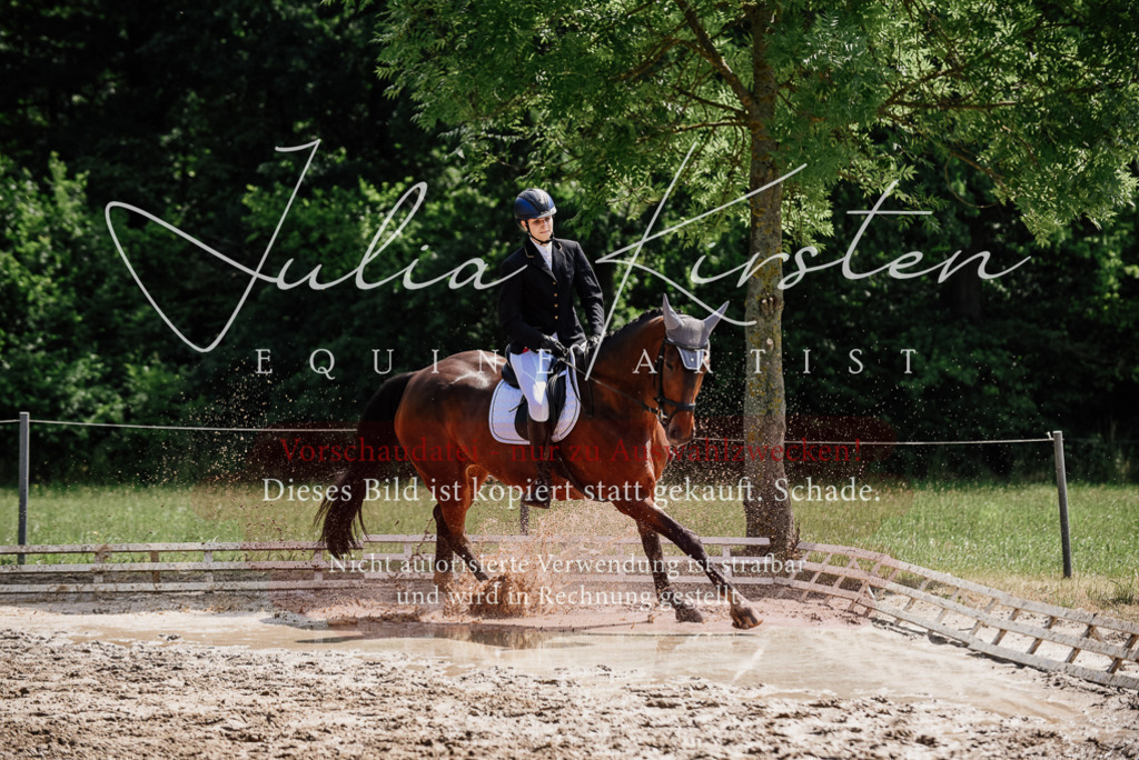 DSC_1164 | Pferde- und Turnierfotografie in Westsachsen. Pferdeportraits, Auftragszeichnungen und intuitive Kunst.