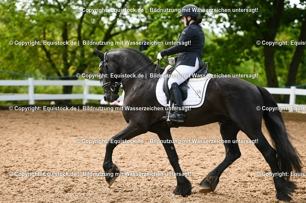 20230716_04_Dressurreiterprüfung Kl.A_0330 | equistock