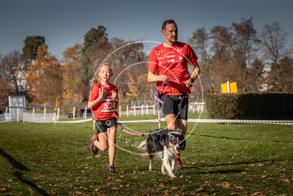 CaniXpix_0L8A7209 | Hundefotografie, Tierfotograf, Pfotenfotografie, Fotoshooting Hund, Hunde Portrait, Hundesport, Hundeportraits, Heideshooting, Hunde, Sportfotograf, Hundefotograf, Turnierhundsport, THS,  - Realisiert mit Pictrs.com