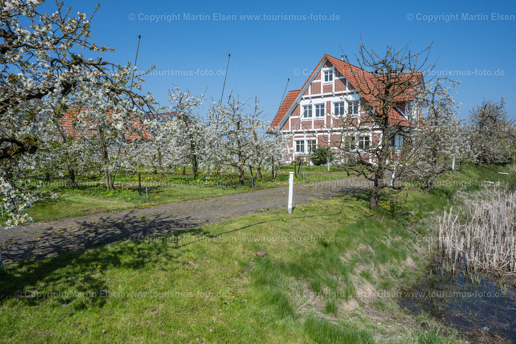 Altes Land Kirschblüte_ELS_0009230423 | Fotos aus den Touristenorten aus Norddeutschland. - Realisiert mit Pictrs.com