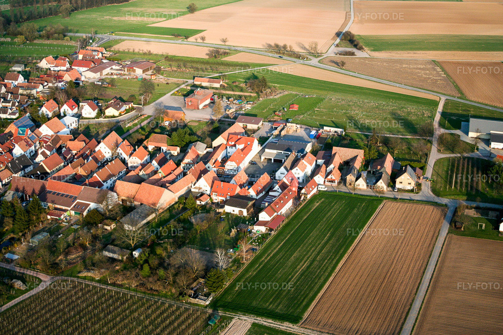 Luftbild: Ortsansicht von Westen im Ortsteil Mühlhofen in Billigheim-Ingenheim im Bundesland Rheinland-Pfalz in Deutschland. Foto: IMG_1410.jpg vom 07.04.2006 durch Werner Riehm/FLY-FOTO.de