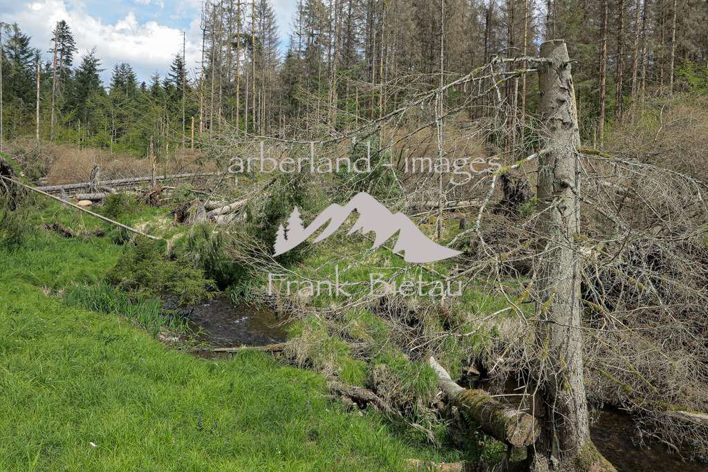 IMG_1984 | Medien- Sport- Entertainmentfotos