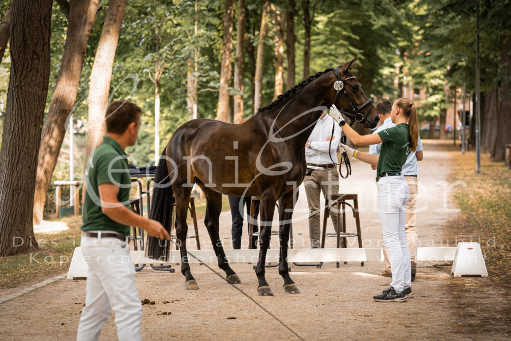 FrPfM00054 | Leoni Ertmer Photography - Realisiert mit Pictrs.com