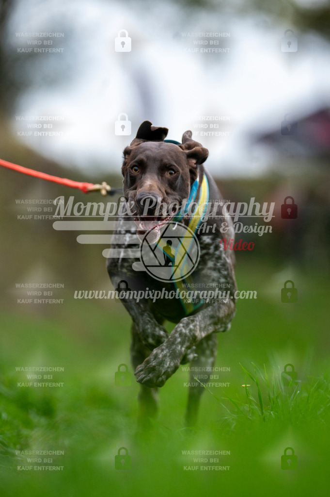 TSB_2023_E8_Bike-29 | PayLife
