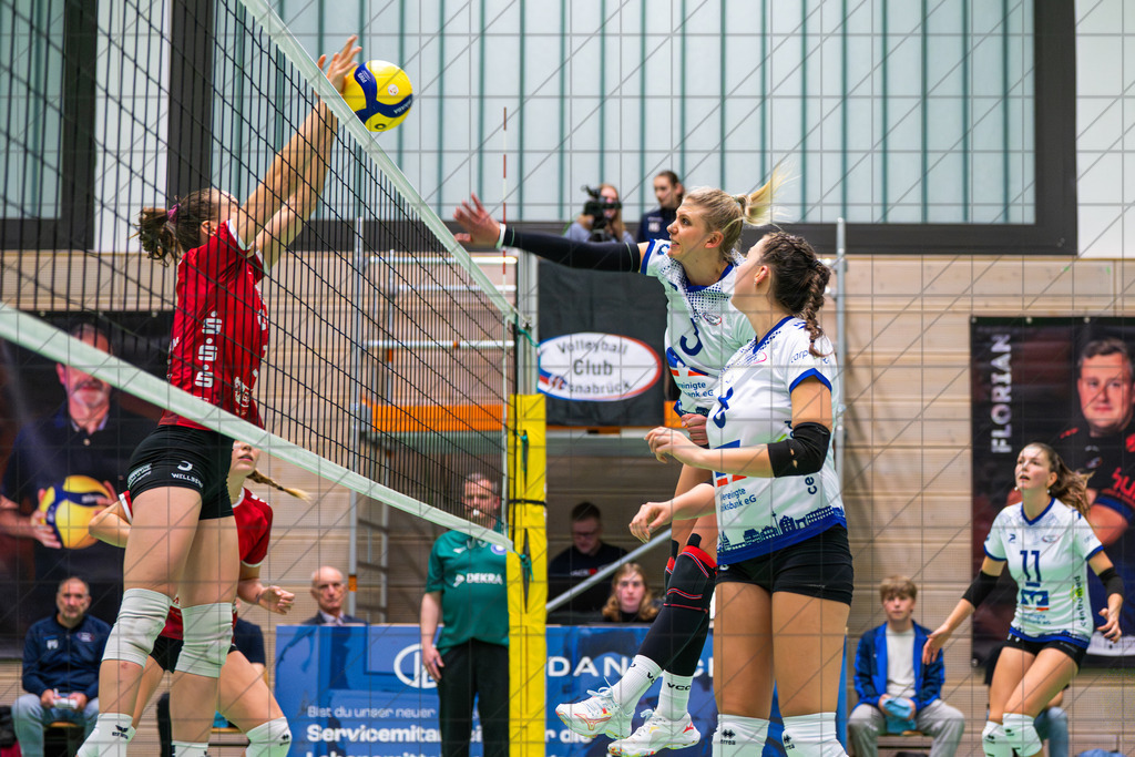 2. VBLF Nord 25/26 | Spiel 4017 | VC Osnabrück vs. Potsdam II | LAMMERS Lisa (VC Osnabrück e.V. #3) //  25.10.25: 2. VBLF Nord 25/26 | Spiel 4017 | VC Osnabrück vs. Potsdam II / Osnabrück / Deutschland  //   CREDIT:www.bullenfotos.de, Martin König, Hörner Weg 40, D-49078 Osnabrück, +4917663732967 // Nutzung und Weitergabe nur zu den vereinbarten Zwecken. Presseanfragen an Ersteller. Alle Rechte beim Ersteller. Honorierung nach MFM. - Realisiert mit Pictrs.com
