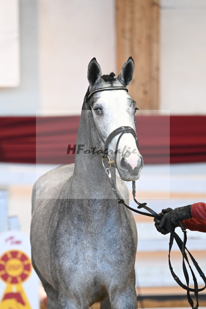 Kat-Nr. 54 v. Vingino_Stahl_66221434 | hf-fotografie - Realisiert mit Pictrs.com