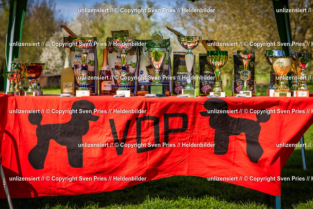 Sven Pries | 2025-04-13 - Hunderennen Baden-Baden - Realisiert mit Pictrs.com