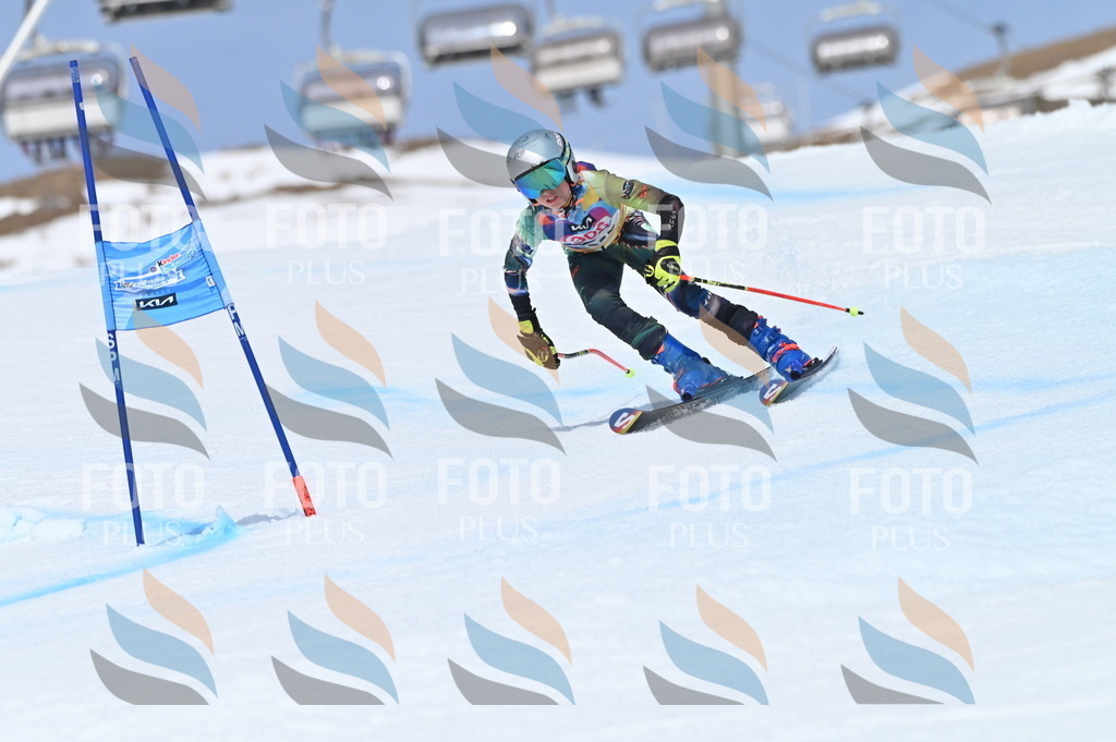 BGV_2864 | holidayphoto