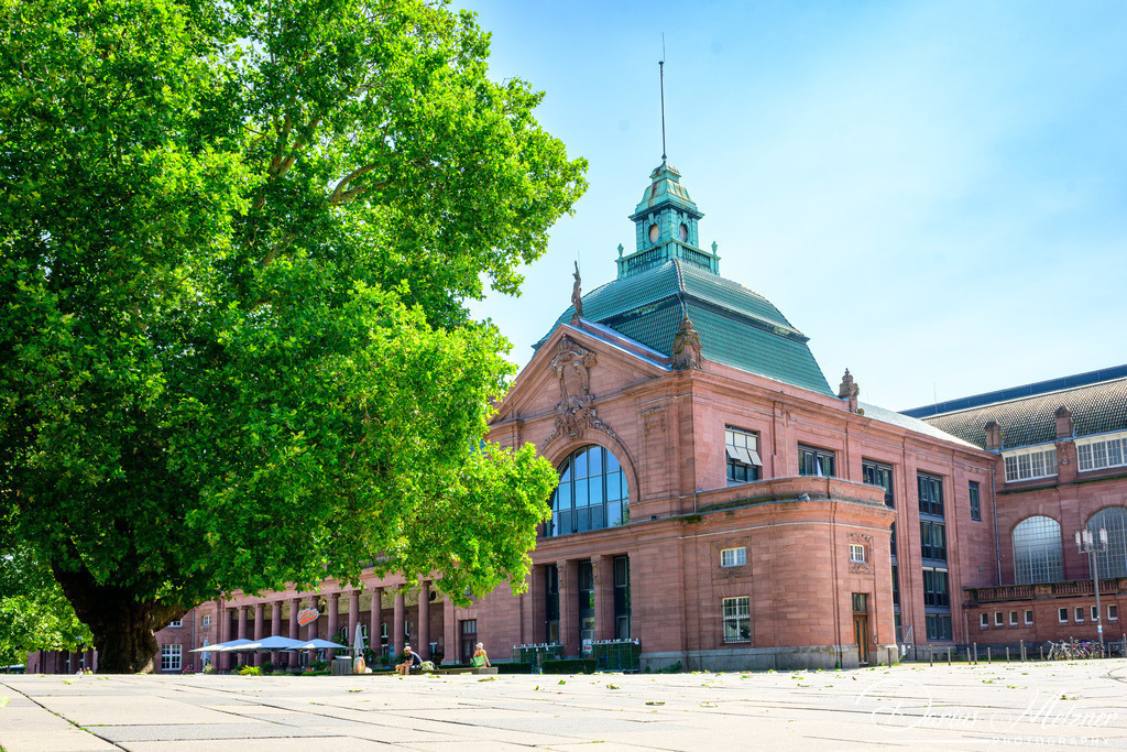 DSC_4113 | Fotografien, Fotos und Bilder aus Mainz, Frankfurt, Wiesbaden und anderen Orten auf der Welt - Fotografiert von Darius Metzner