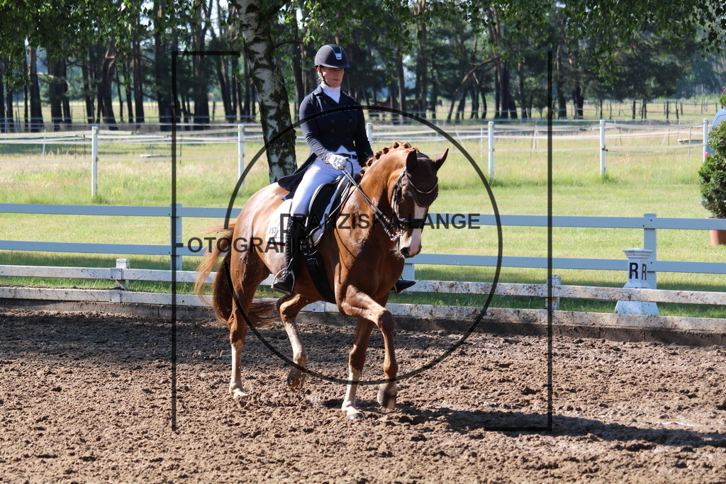 IMG_6383 | franziskalange - Realisiert mit Pictrs.com