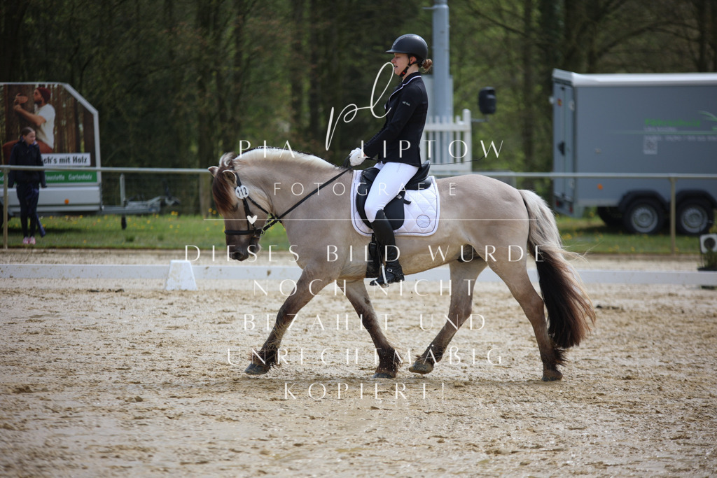 IMGT3183 | pl-fotografie