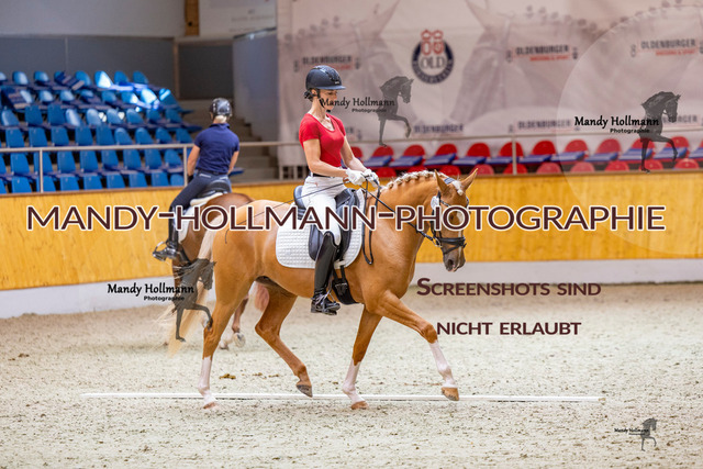 SLP 2 (568 von 1007) | mandyhollmannphotographie