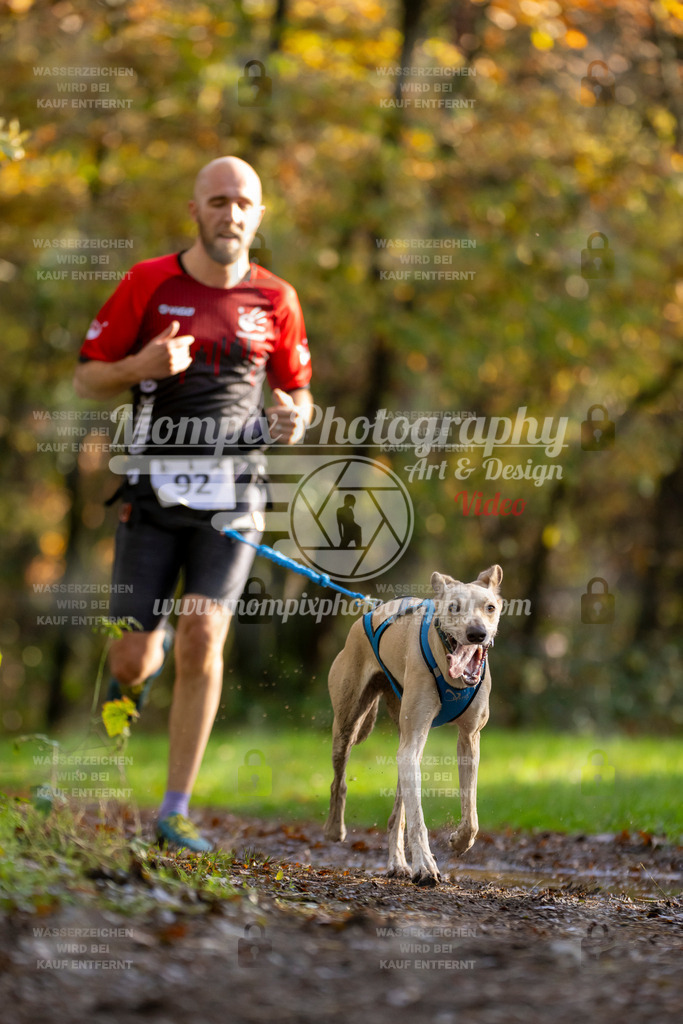 MompixPhotography_Bischwiller23_Canicross-28 | PayLife