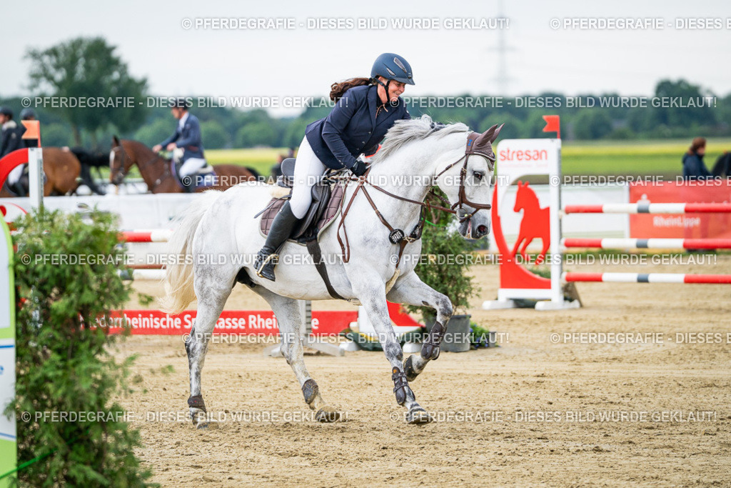 DSC05550 | Pferdegrafie